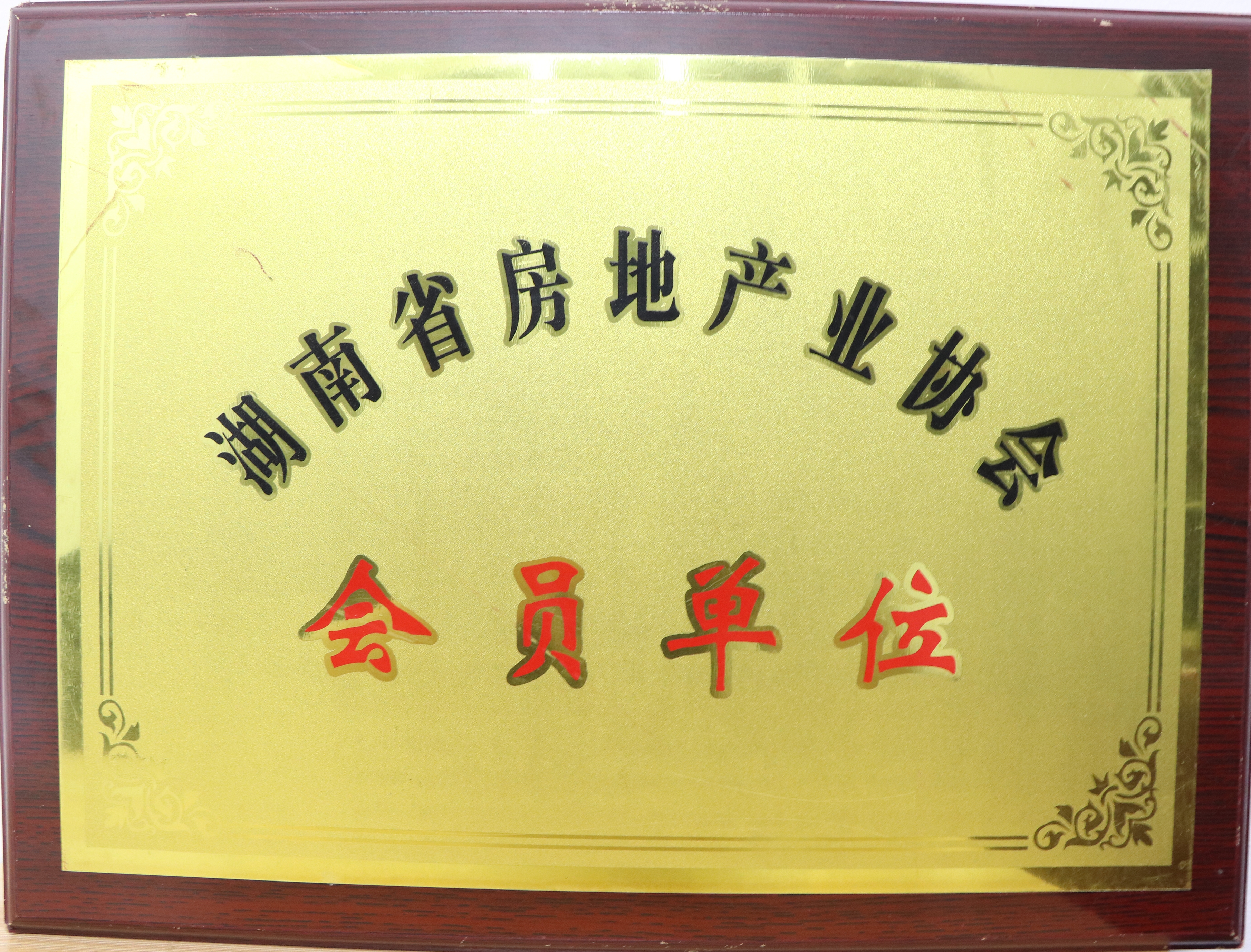 湖南房地產(chǎn)協(xié)會(huì)會(huì)員單位