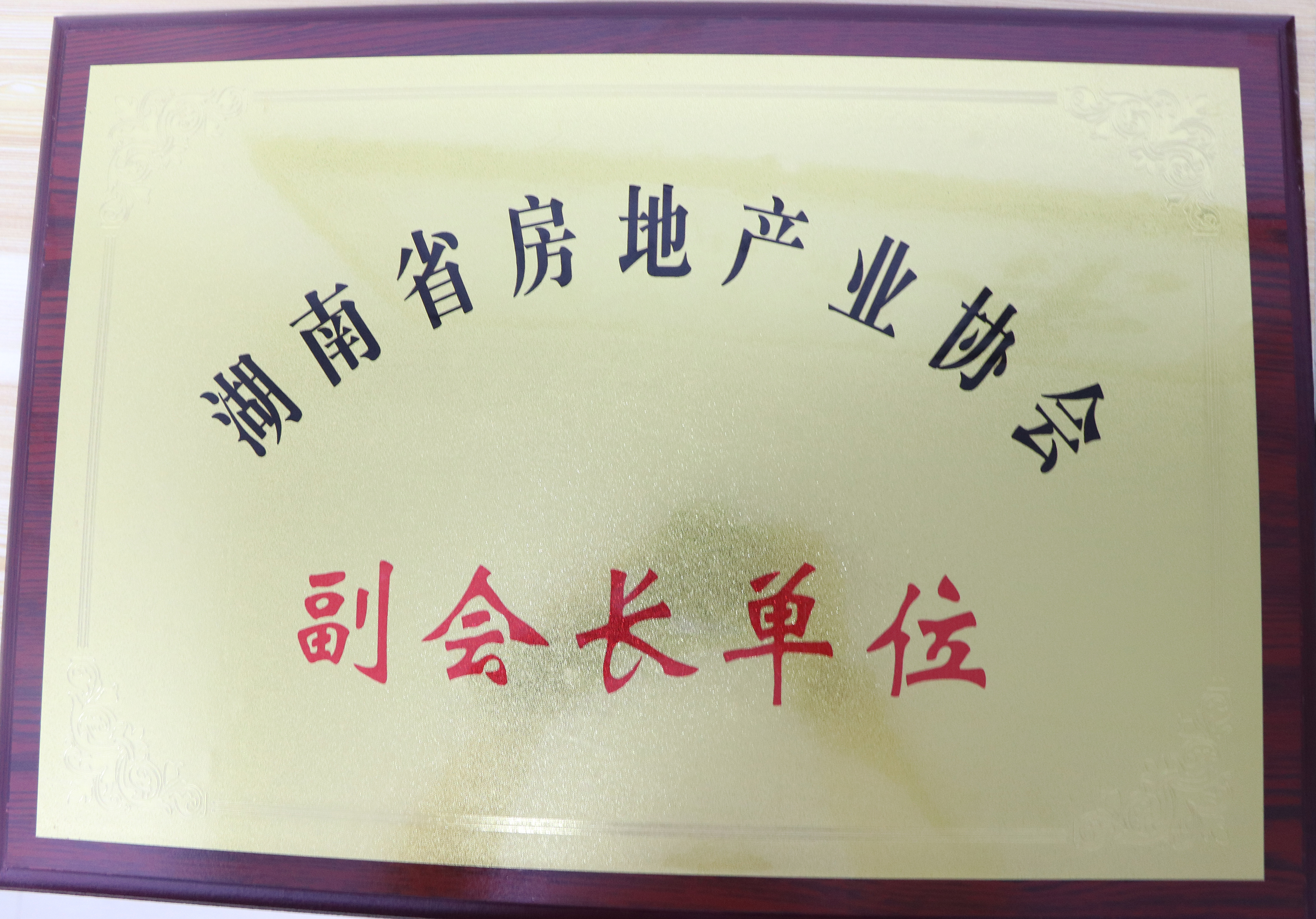 湖南省房地產(chǎn)業(yè)協(xié)會(huì)副會(huì)長(zhǎng)單位