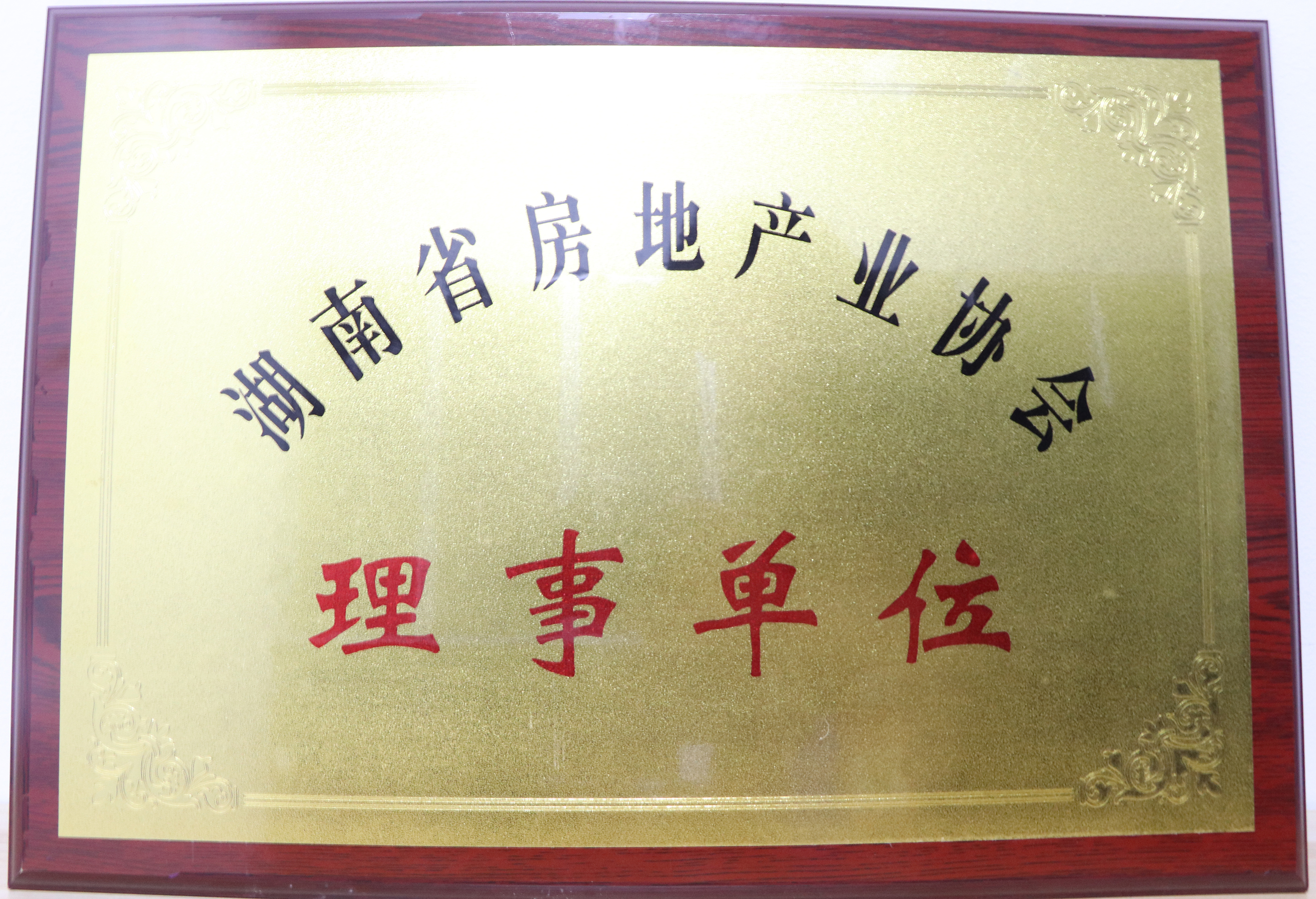 湖南省房地產(chǎn)業(yè)協(xié)會(huì)理事單位