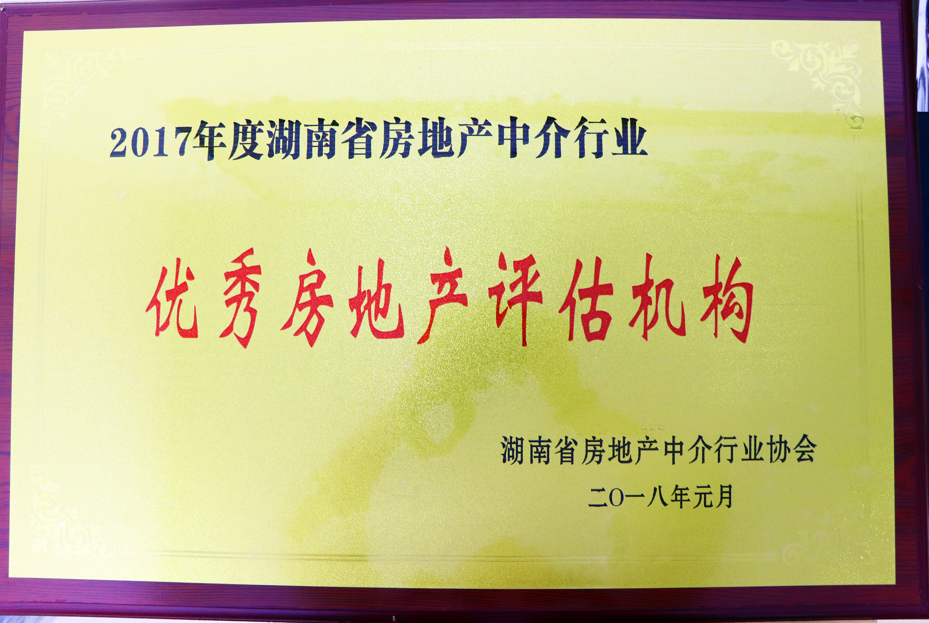 2017年度湖南省房地產(chǎn)中介行業(yè)優(yōu)秀房地產(chǎn)評(píng)估機(jī)構(gòu)